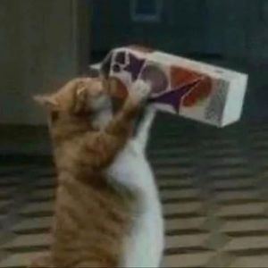 Meet your Posher, Abella